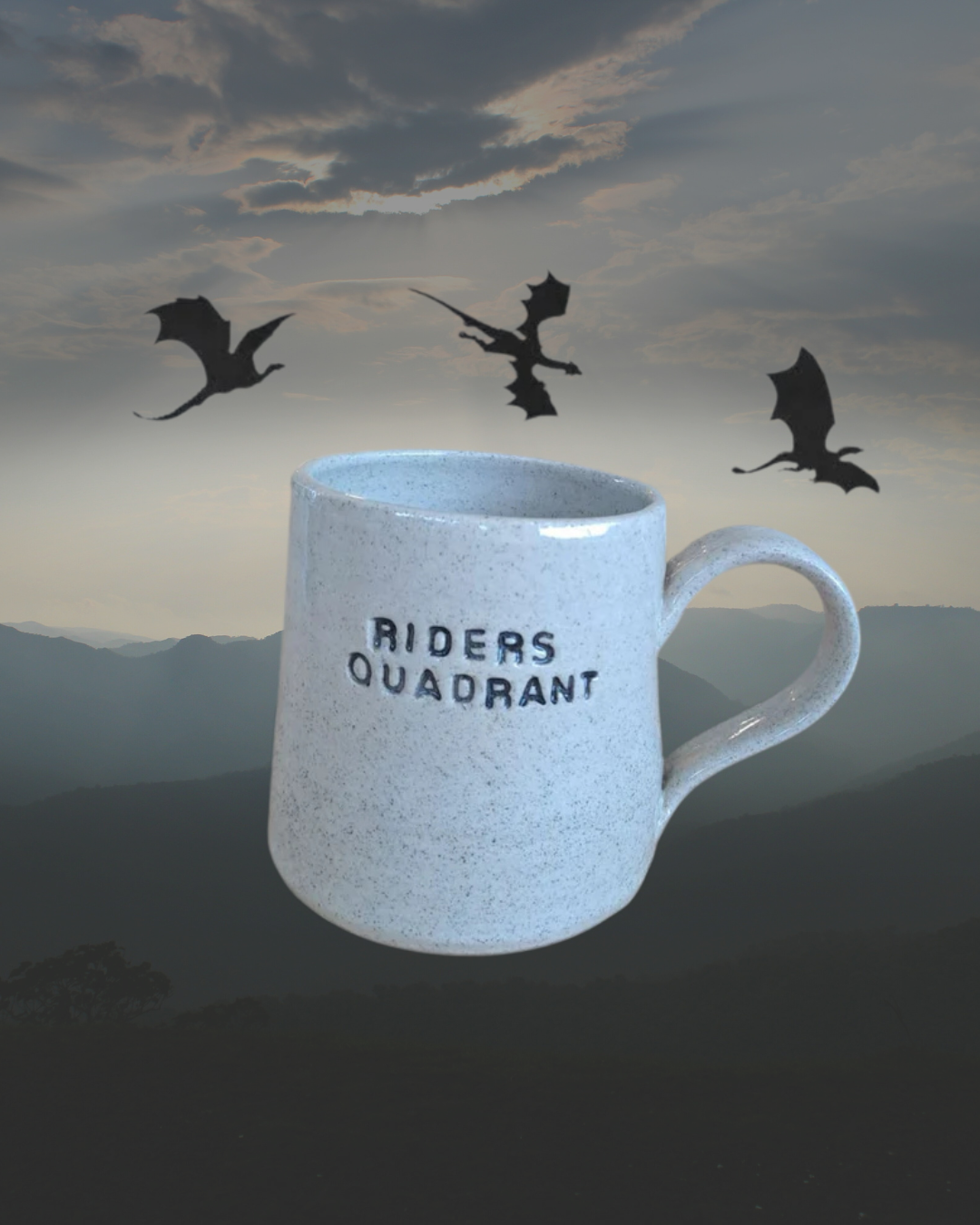Riders Quadrant Mug