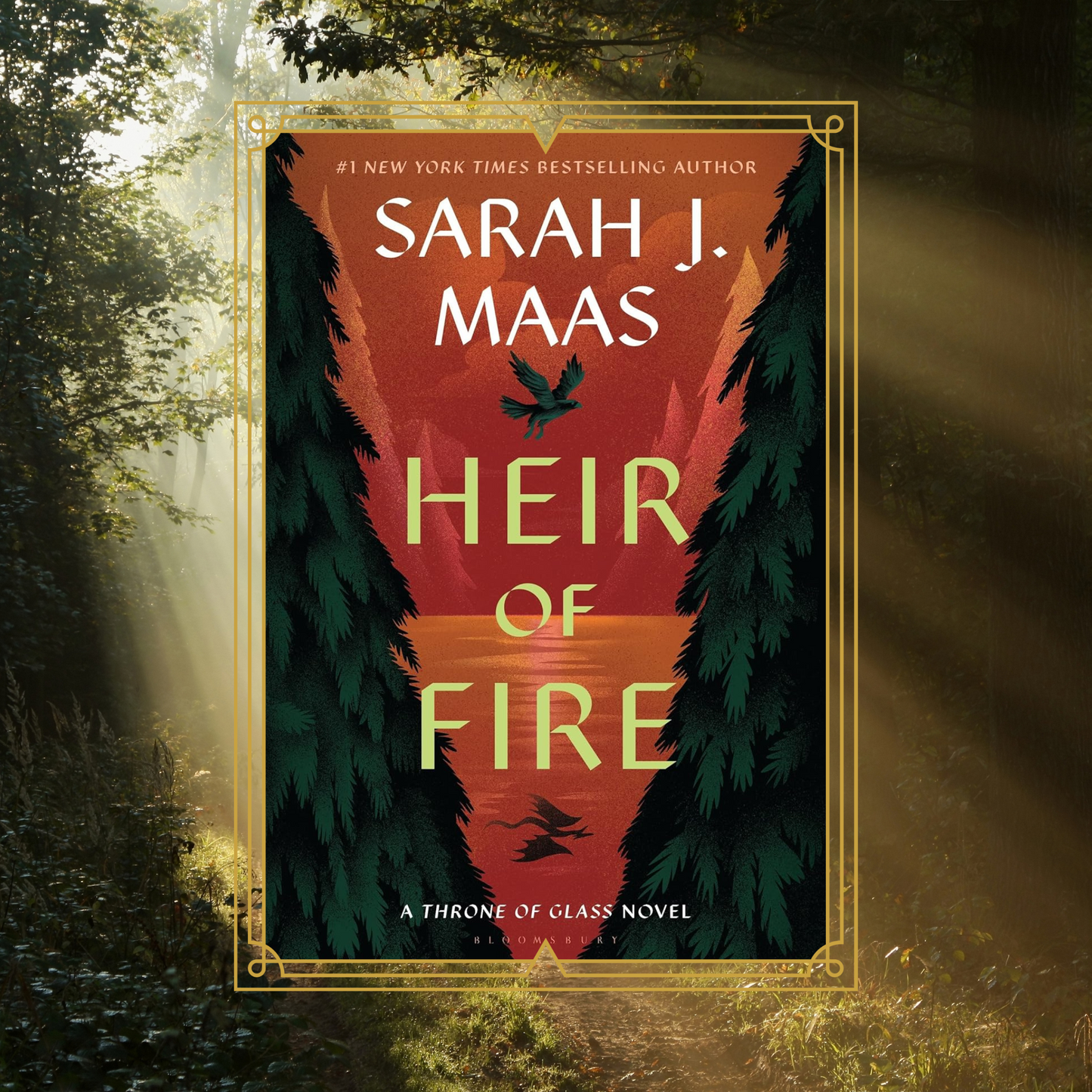Heir of Fire by Sarah J Maas book cover with a pine forest illustration showing a flying hawk, on a photo background of a forest with sunlight streaming in.