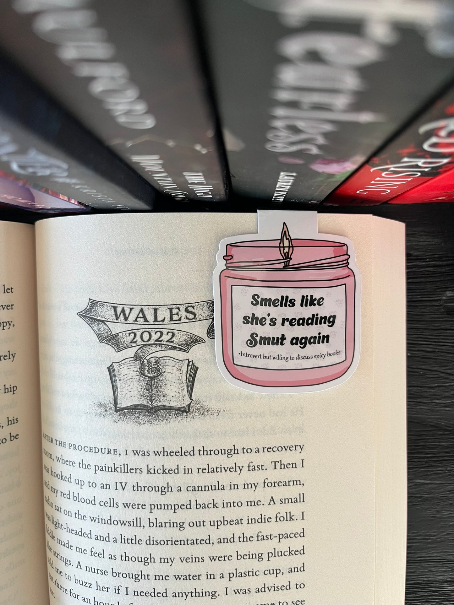 Smells Like Smut Magnetic Bookmark