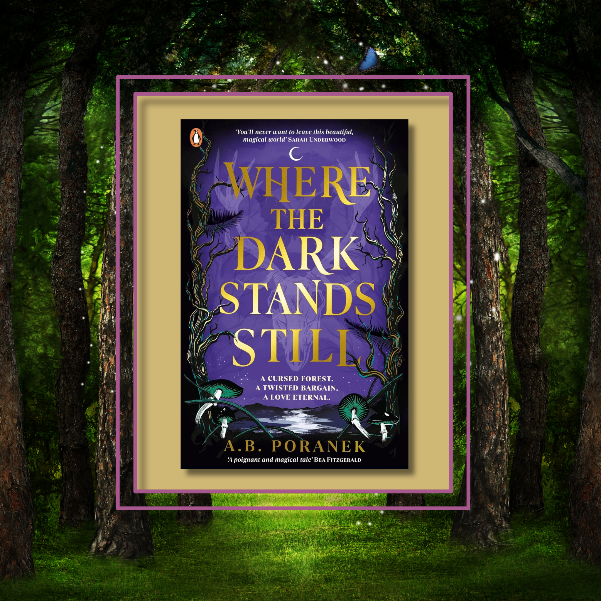 Fantasy novel Where the dark stands still by A.B Poranek, featuring the book cover with a photo background inspired by its artwork.