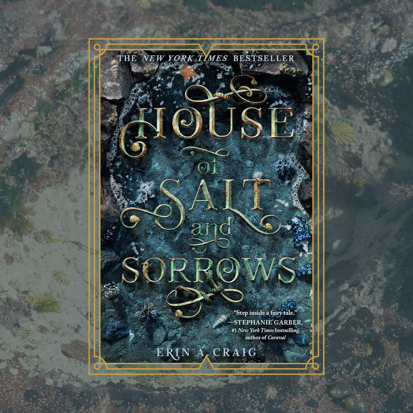 Book cover of 'House of Salt and Sorrows' with decorative text and rock pool background