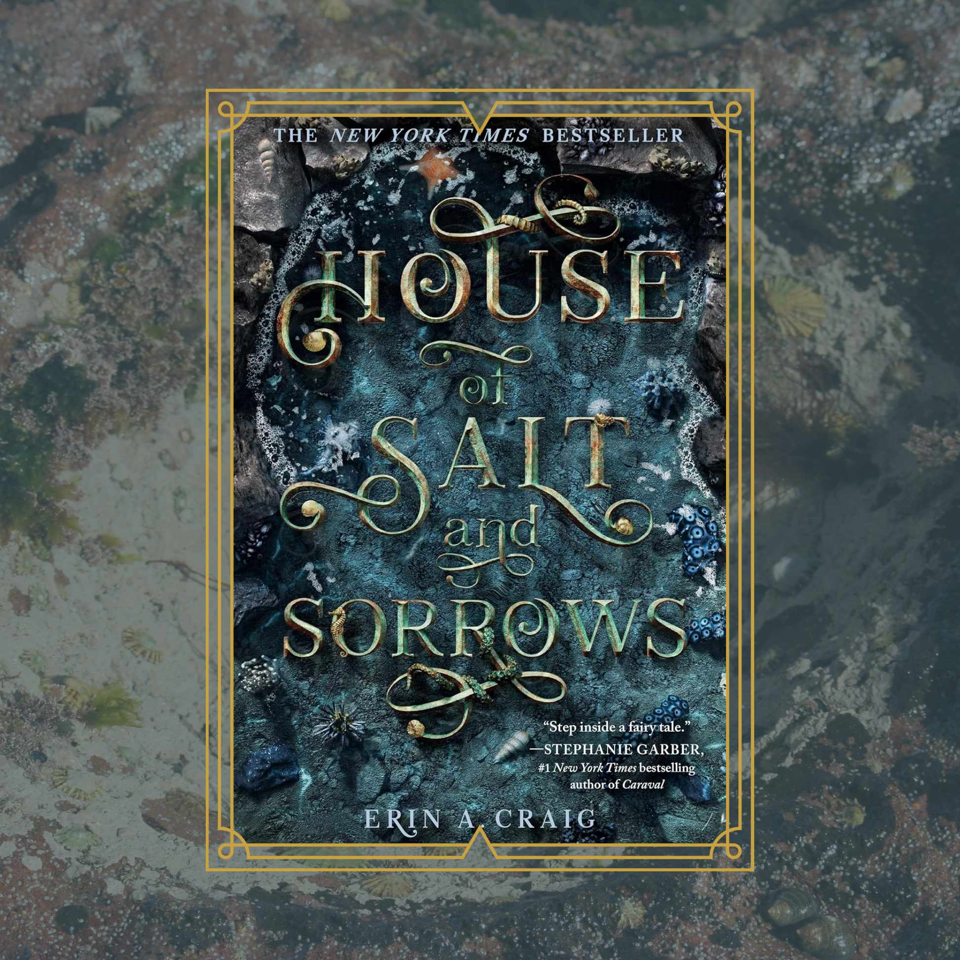 Book cover of 'House of Salt and Sorrows' with decorative text and rock pool background