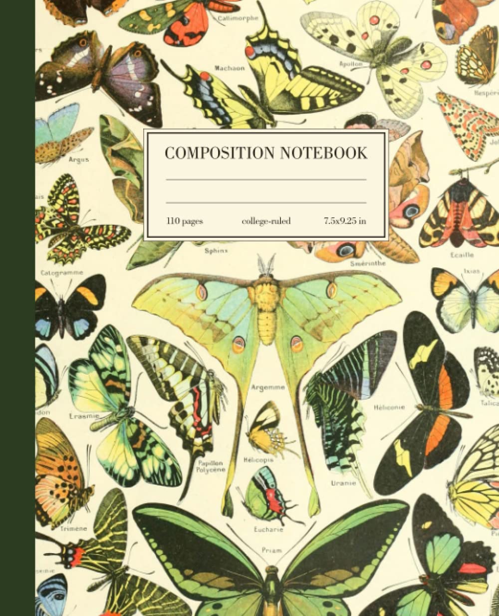 Composition notebook with moth design on the cover
