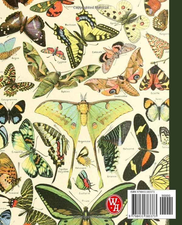 Illustrated book cover with various moths on a beige background