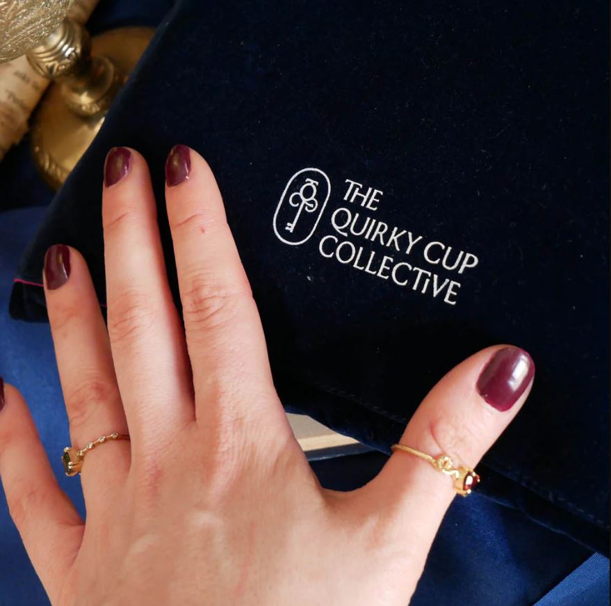 Serpents & Swords Book Sleeve - Blue