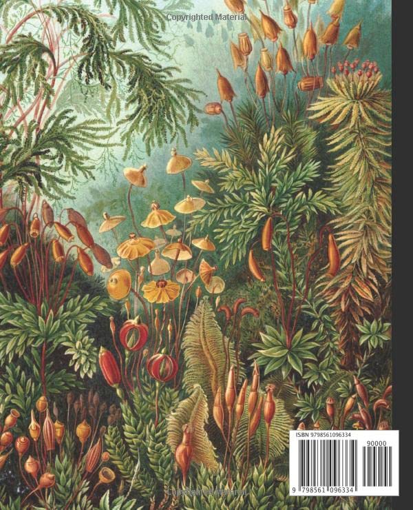 Illustrated book cover with a detailed plant and flower design