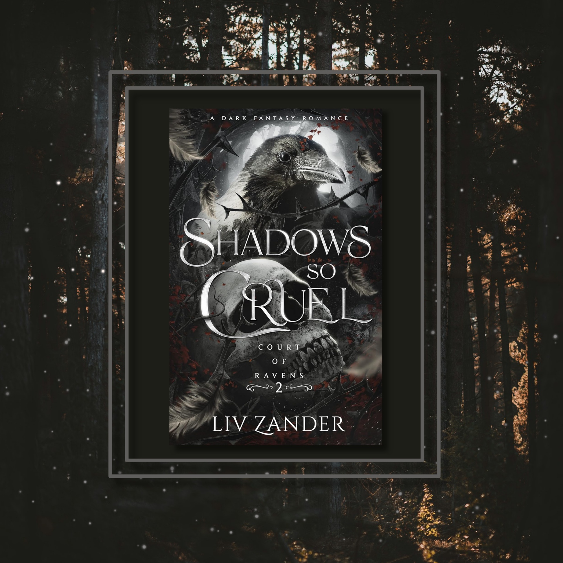 Fantasy novel Shadows so Cruel by Liv Zander, featuring the book cover with a photo background inspired by its artwork.